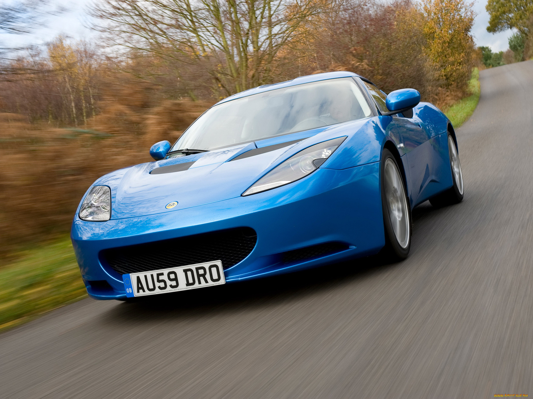, lotus
